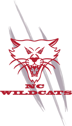 North County Wildcats Tackle Football and Cheer: A Community of Growth and Achievement