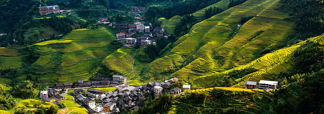 Star Paddy Fields Resort – Lingshui Nature Escape (China)